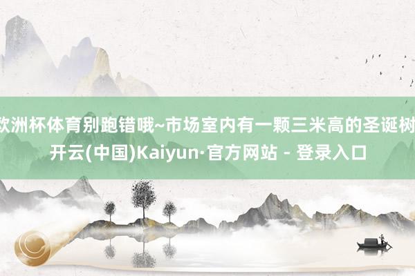 欧洲杯体育别跑错哦~市场室内有一颗三米高的圣诞树-开云(中国)Kaiyun·官方网站 - 登录入口