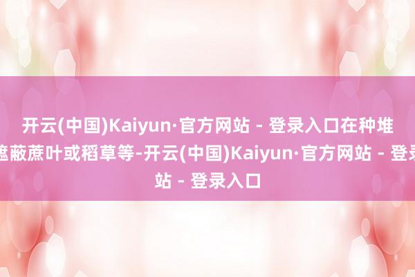 开云(中国)Kaiyun·官方网站 - 登录入口在种堆面上遮蔽蔗叶或稻草等-开云(中国)Kaiyun·官方网站 - 登录入口