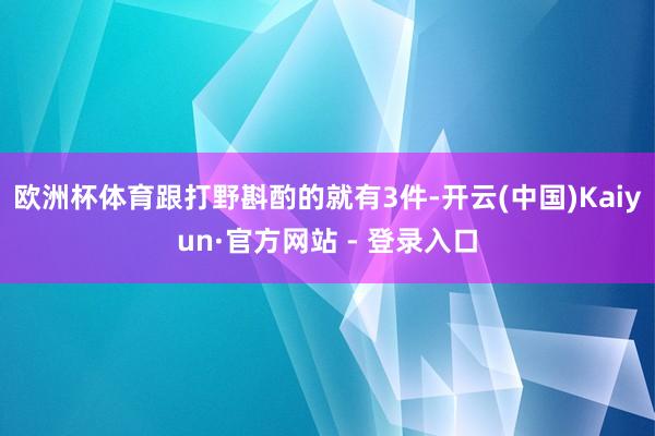 欧洲杯体育跟打野斟酌的就有3件-开云(中国)Kaiyun·官方网站 - 登录入口