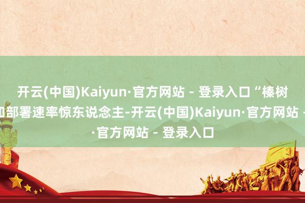 开云(中国)Kaiyun·官方网站 - 登录入口“榛树”的研发和部署速率惊东说念主-开云(中国)Kaiyun·官方网站 - 登录入口