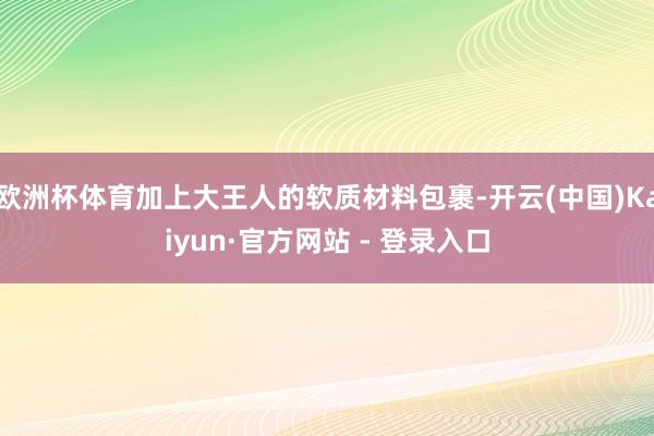 欧洲杯体育加上大王人的软质材料包裹-开云(中国)Kaiyun·官方网站 - 登录入口