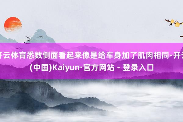 开云体育悉数侧面看起来像是给车身加了肌肉相同-开云(中国)Kaiyun·官方网站 - 登录入口