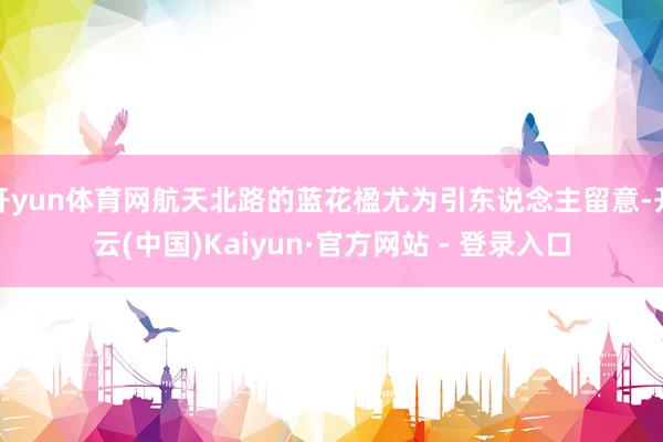 开yun体育网航天北路的蓝花楹尤为引东说念主留意-开云(中国)Kaiyun·官方网站 - 登录入口