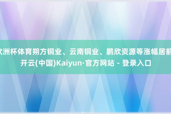 欧洲杯体育朔方铜业、云南铜业、鹏欣资源等涨幅居前-开云(中国)Kaiyun·官方网站 - 登录入口