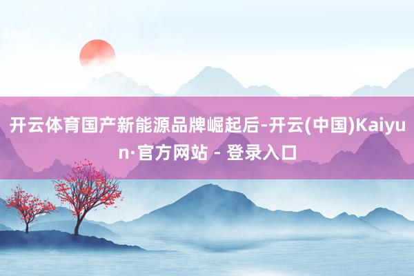 开云体育国产新能源品牌崛起后-开云(中国)Kaiyun·官方网站 - 登录入口
