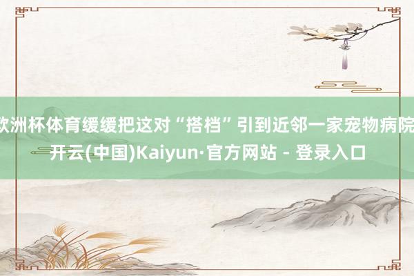欧洲杯体育缓缓把这对“搭档”引到近邻一家宠物病院-开云(中国)Kaiyun·官方网站 - 登录入口