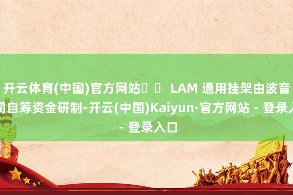 开云体育(中国)官方网站   LAM 通用挂架由波音公司自筹资金研制-开云(中国)Kaiyun·官方网站 - 登录入口