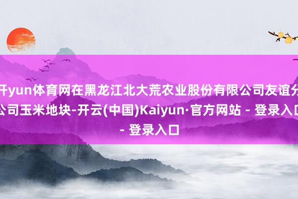 开yun体育网在黑龙江北大荒农业股份有限公司友谊分公司玉米地块-开云(中国)Kaiyun·官方网站 - 登录入口