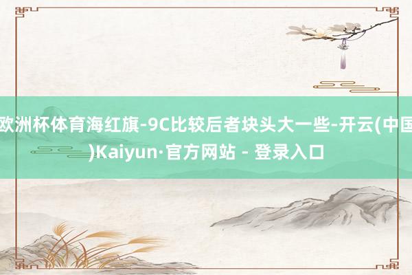 欧洲杯体育海红旗-9C比较后者块头大一些-开云(中国)Kaiyun·官方网站 - 登录入口